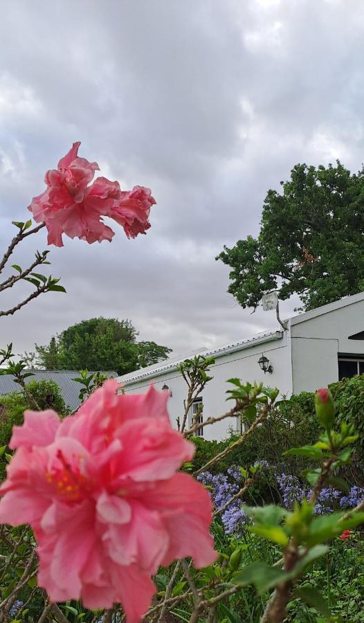 Winterson En Somerkoelte Swellendam Dış mekan fotoğraf