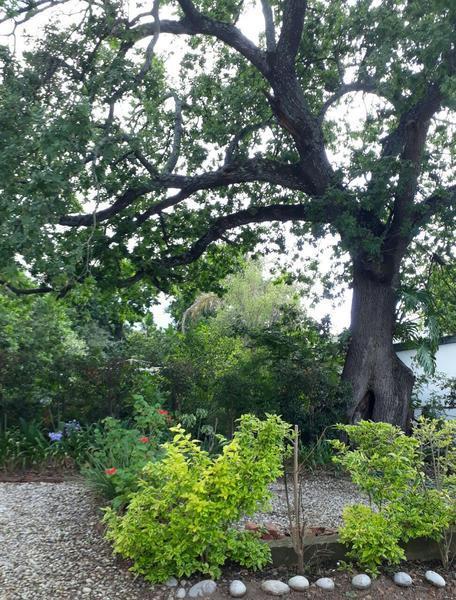 Winterson En Somerkoelte Swellendam Dış mekan fotoğraf